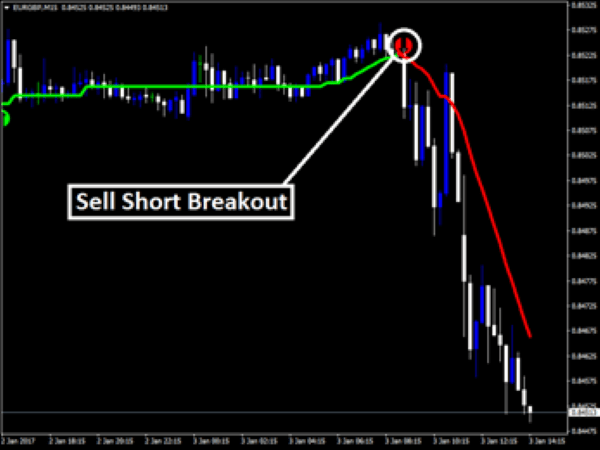 Round Arrow Sensitive Indicator » Forex Free MT4 Indicators [mq4 & ex4 ...