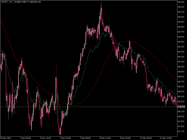 fibo-average-2-mt5