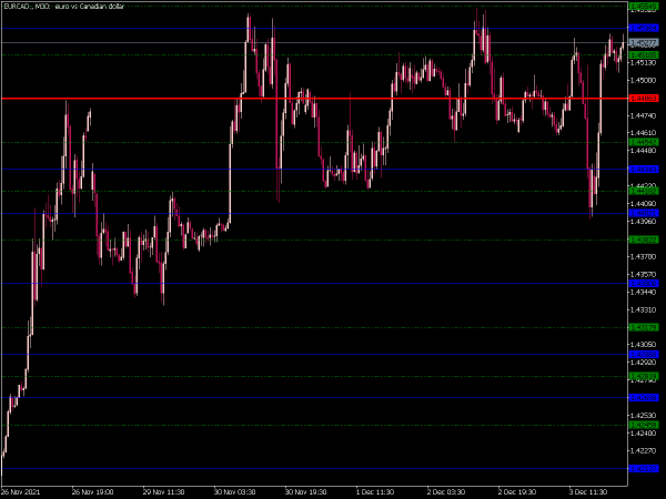 daily-fibo-piv-dk-mt5