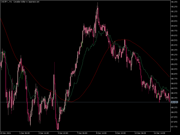 fibo-average-mt5