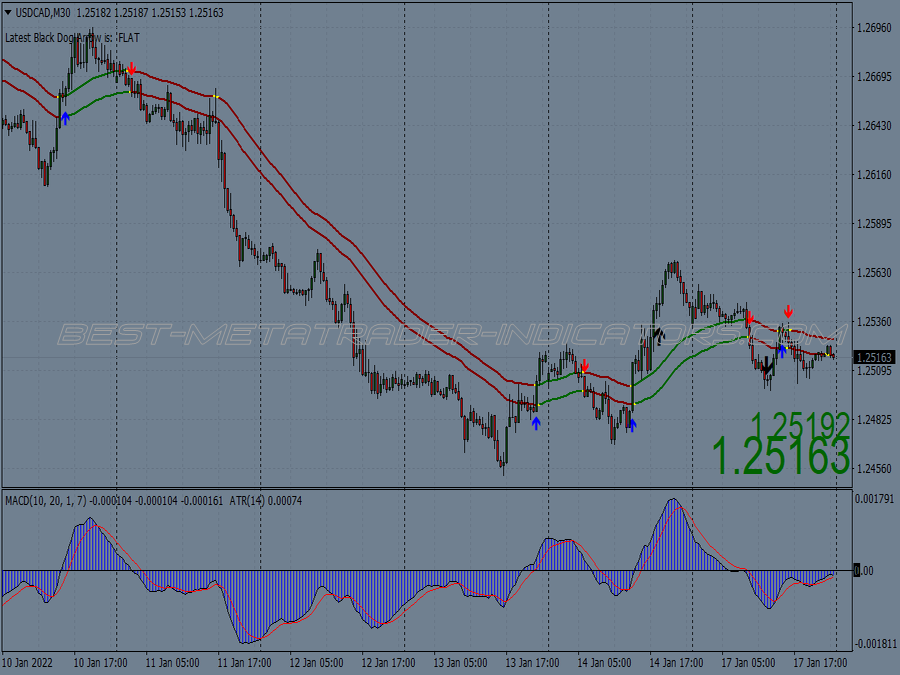 Black Dog Cross Trading System for MT4