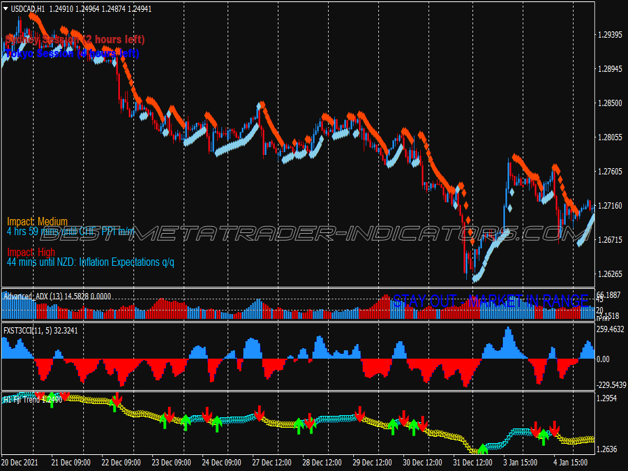 Dream Scalping System