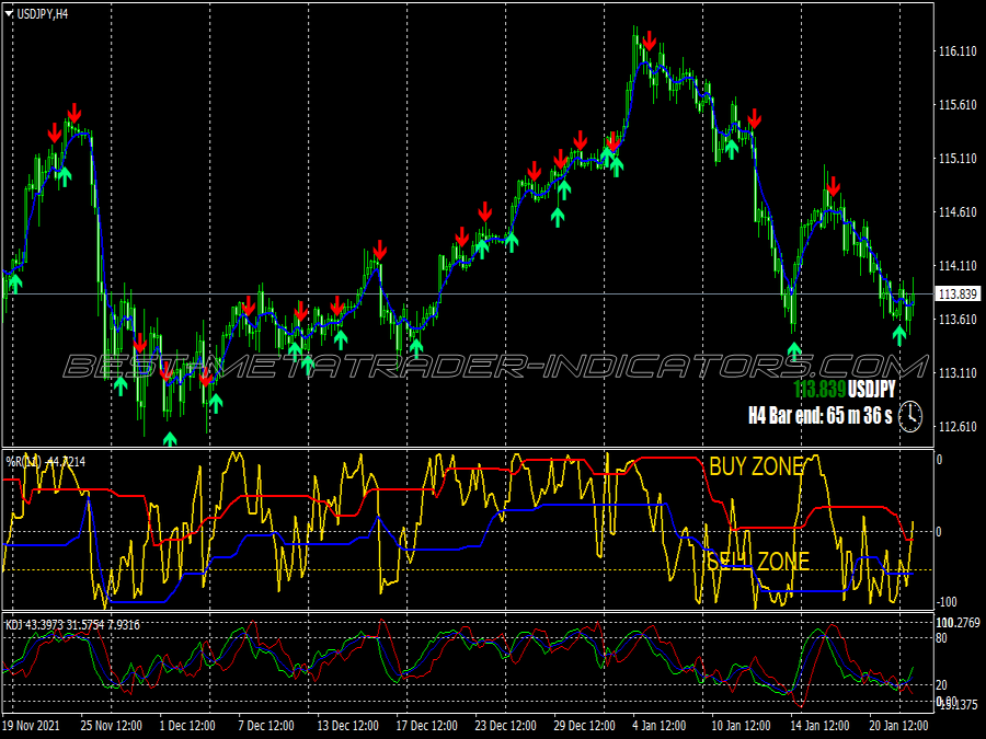 Rsx Williams Percent Range Binary Options System for MT4