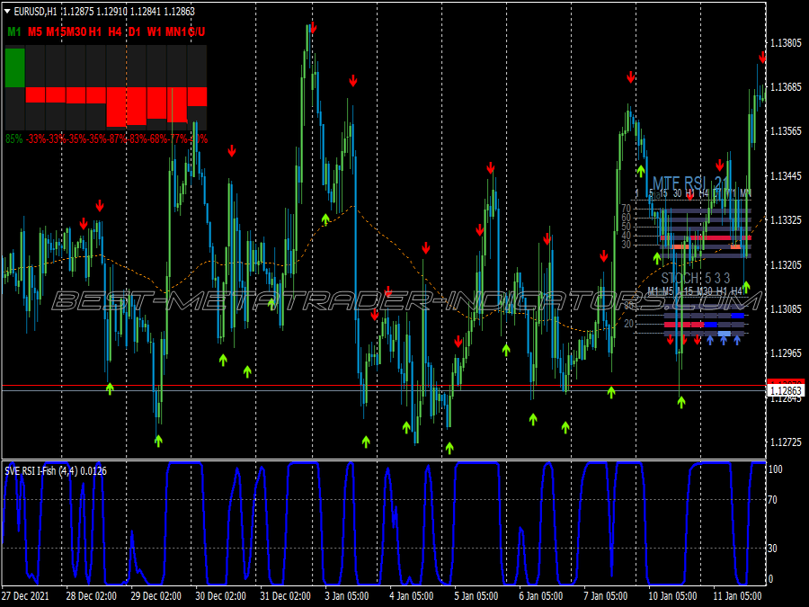 Steenmarter Binary Options System for MT4