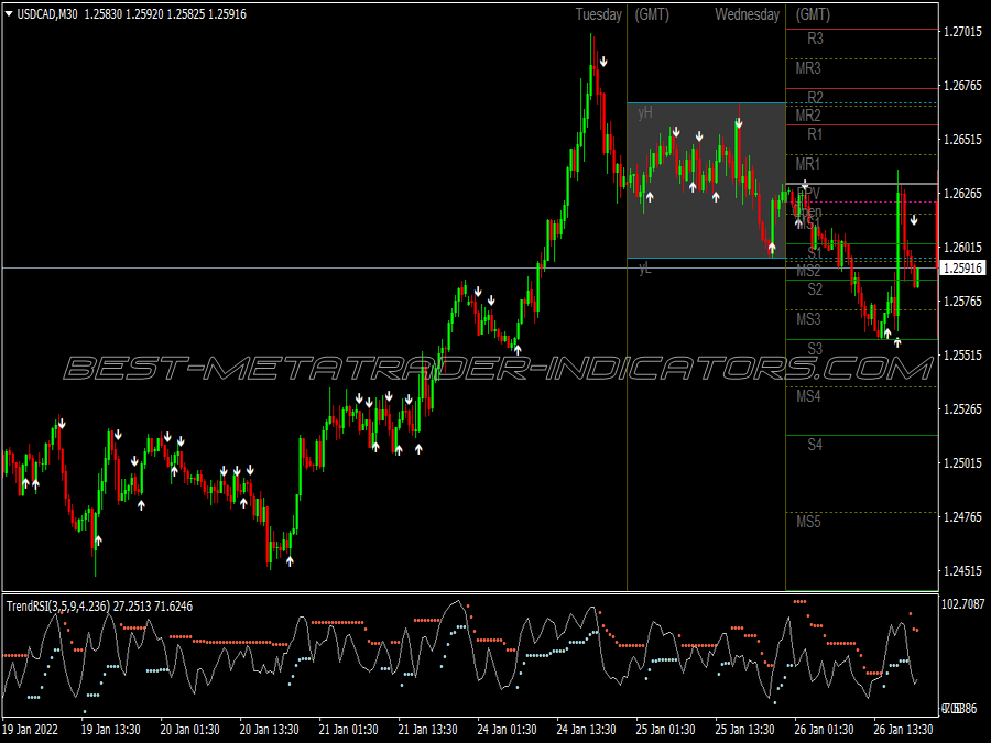 Trend Rsi Scalping System for MT4