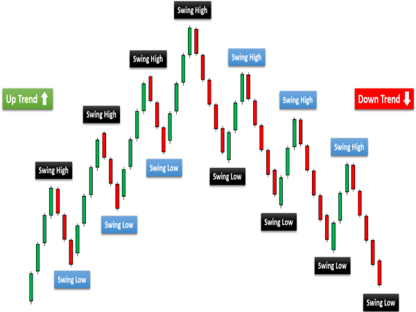 interactive-forex-quiz