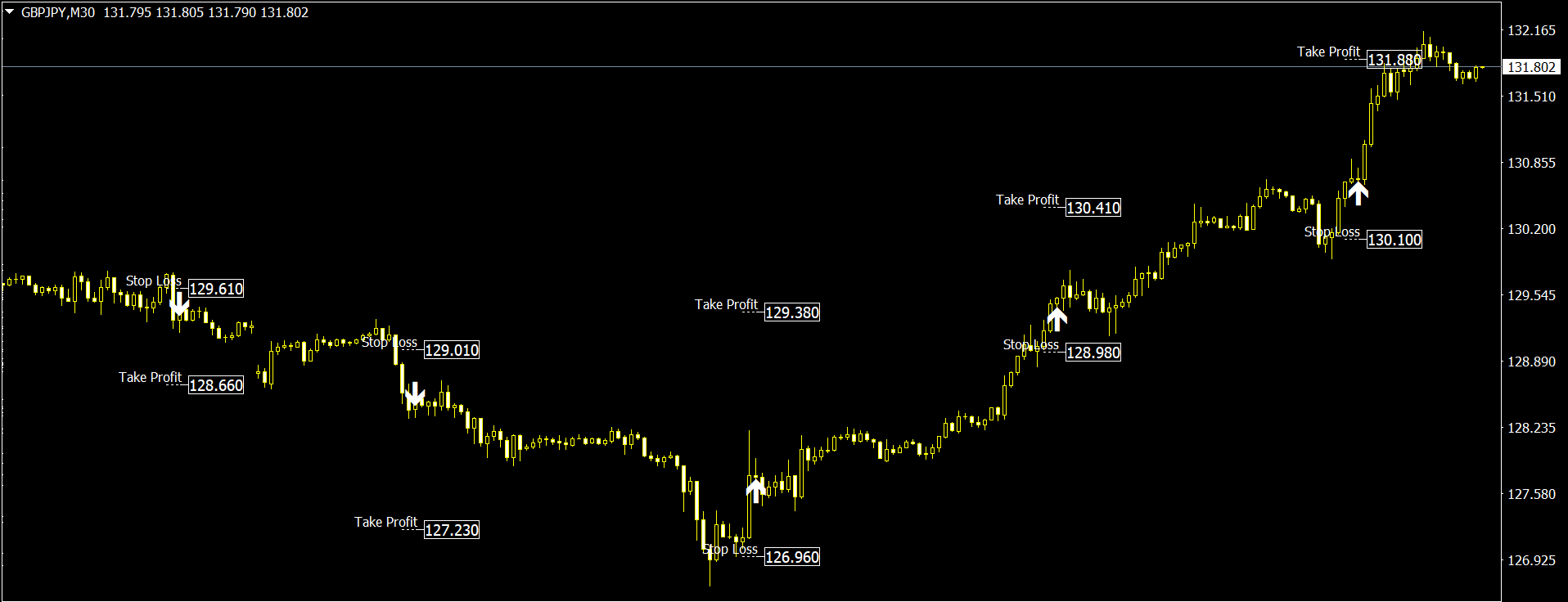 Premium Forex Indicators